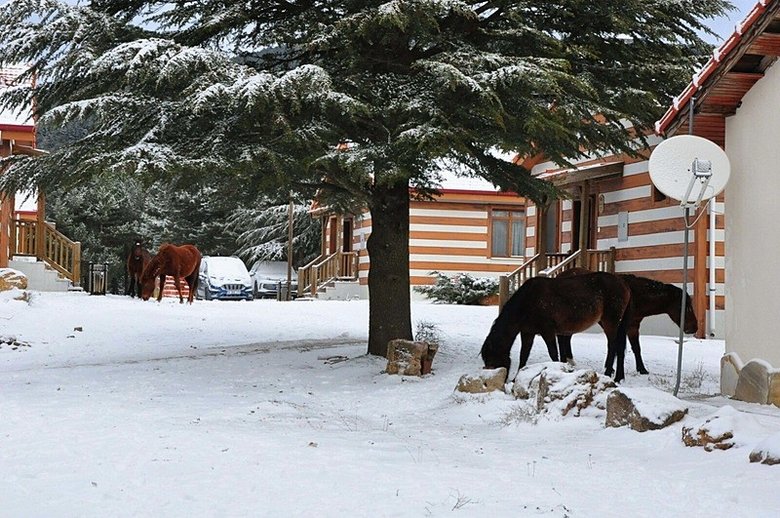 Spil Dağı beyaza büründü