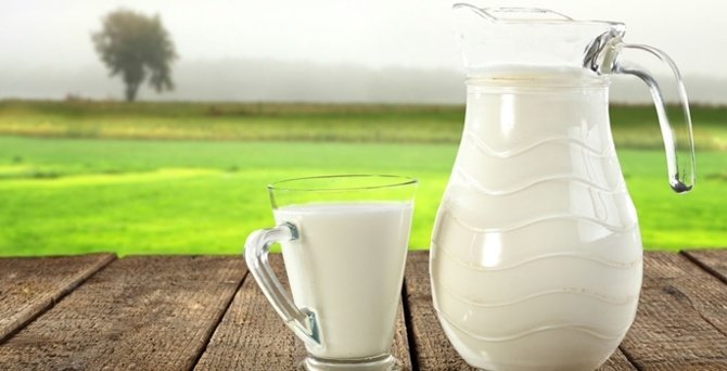 Sütün yararları nelerdir? Neye iyi gelir?