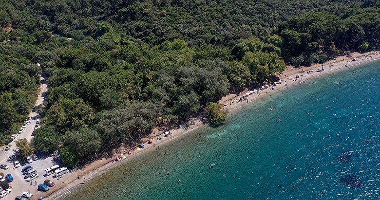 Valilik duyurdu! Aydın’daki Dilek Yarımadası o tarihlerde ziyarete kapalı