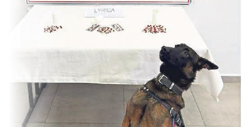 Aydın’ın 10 ilçesinde torbacı operasyonu