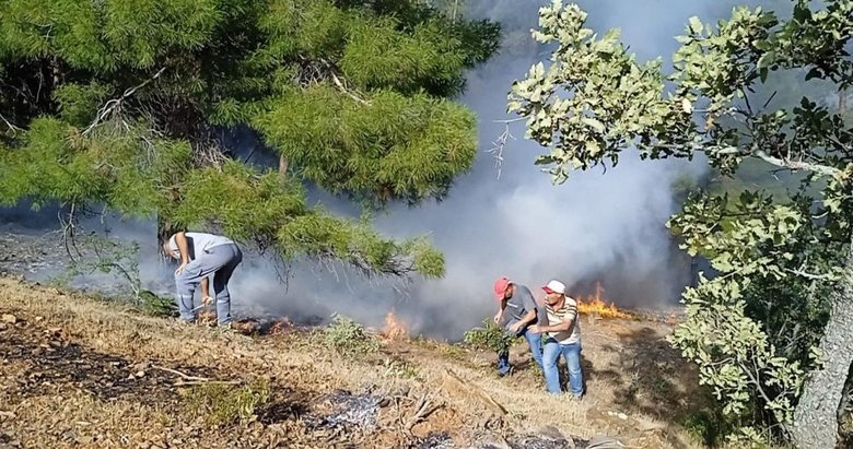 Denizli’de orman yangını: 200 dekar alan küle döndü