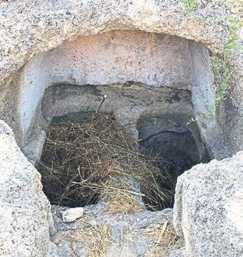 Acun ve Mesut’a mezar şoku