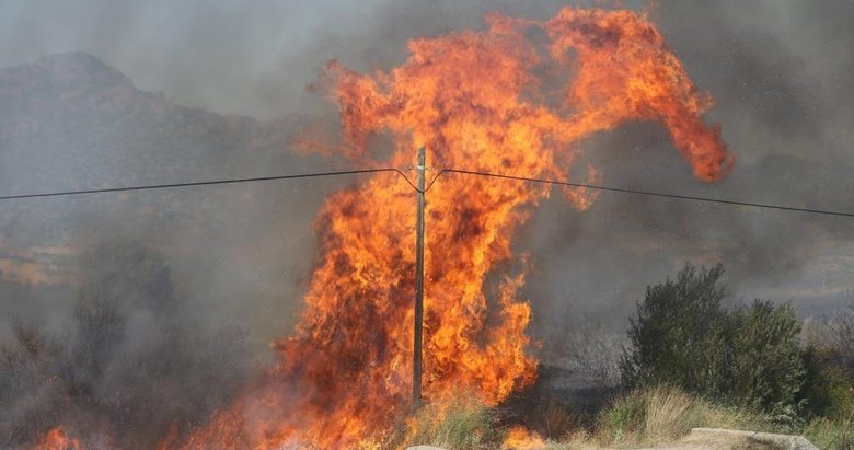 Dikili-Salihler’de çıkan yangın kontrol altına alındı