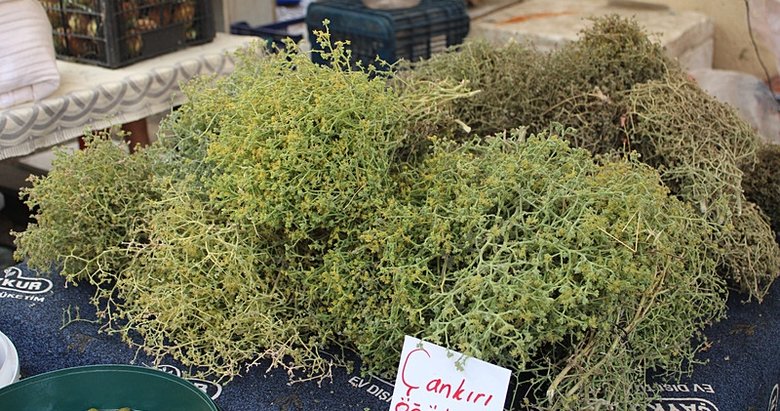 Kış sofralarının olmazsa olmazı şifa dağıtıcısı: Tarhana otu