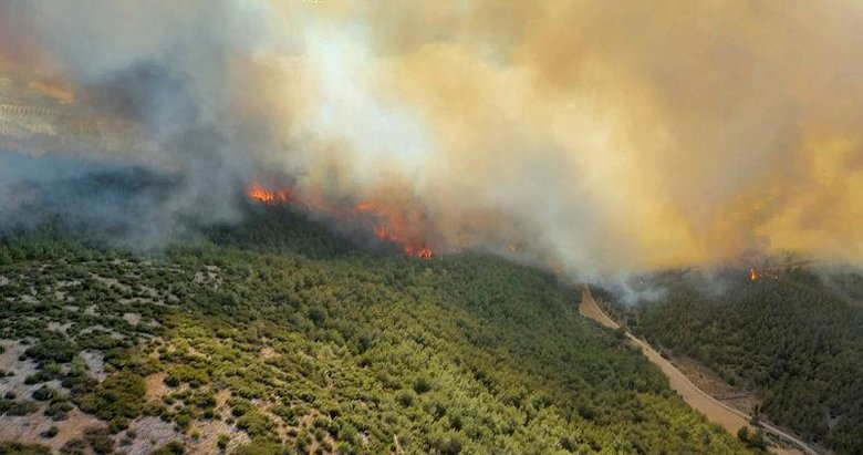 Manisa Akhisar’da orman yangını! Rüzgarın etkisiyle büyüdü