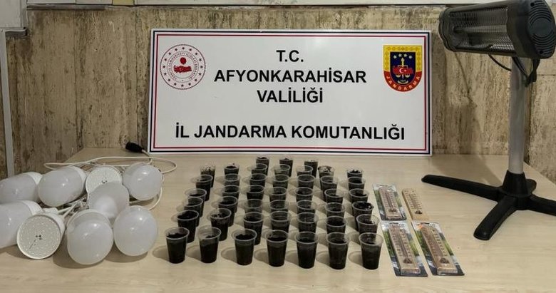 Evinde uyuşturucu yetiştirdi hasat yapamadan vuruldu