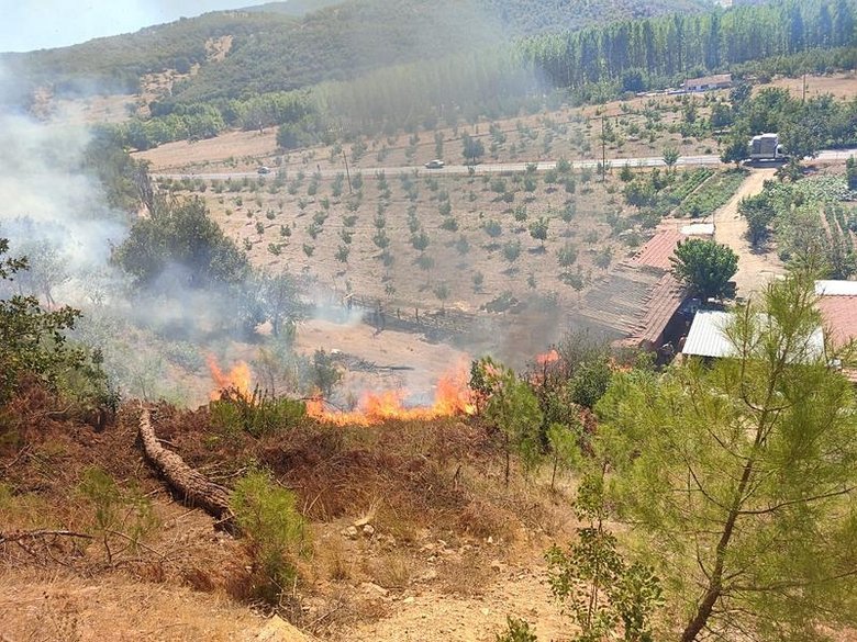 Balıkesir’de orman yangını!
