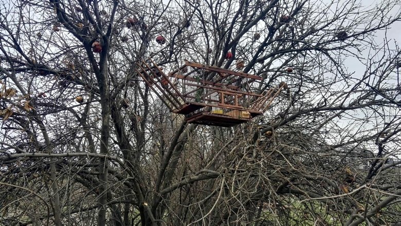 Tuzakla saka kuşu avlayan 2 kişiye 8 bin 300 lira ceza