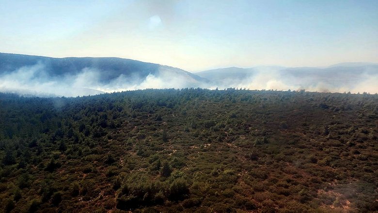 Çeşme’de orman yangını! Ekipler seferber oldu! Kontrol altına alındı