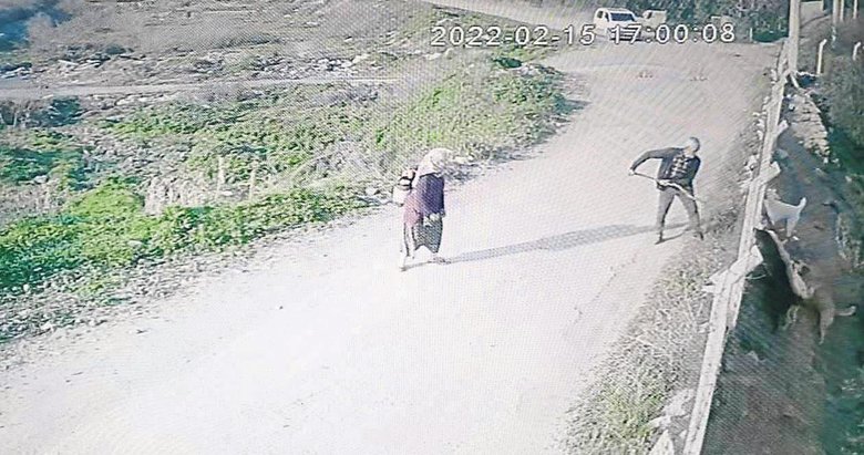 Aydın’da akılalmaz olay! Canı sıkıldı köpeklere saldırdı