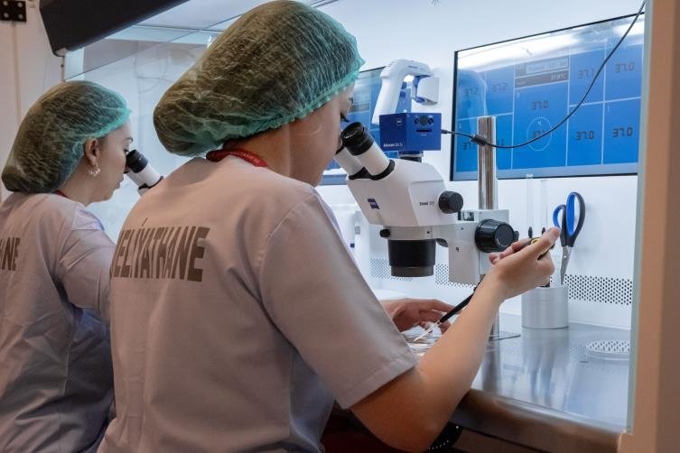 Devlet destekli tüp bebek tedavisi bir ayda 2 bin kişiye umut oldu