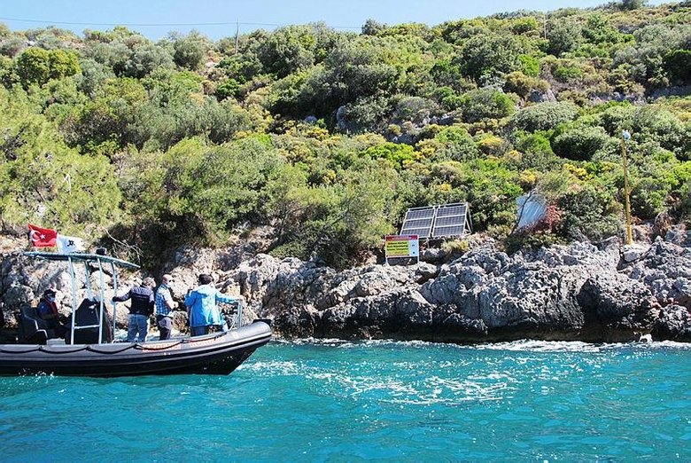 Muğla’daki o turistik koy kum köpek balığı üreme alanı oldu