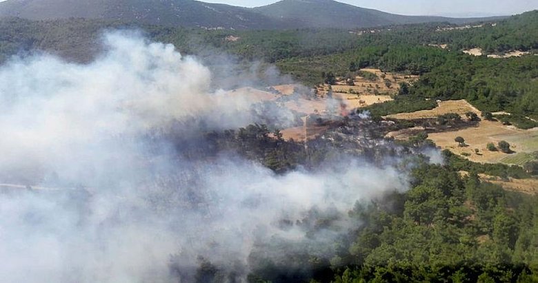 İzmir’de peş peşe orman yangınları