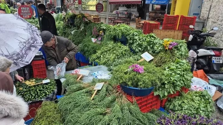 Bodrum’da düzenlenen Acı Ot Festivali’nde renkli anlar