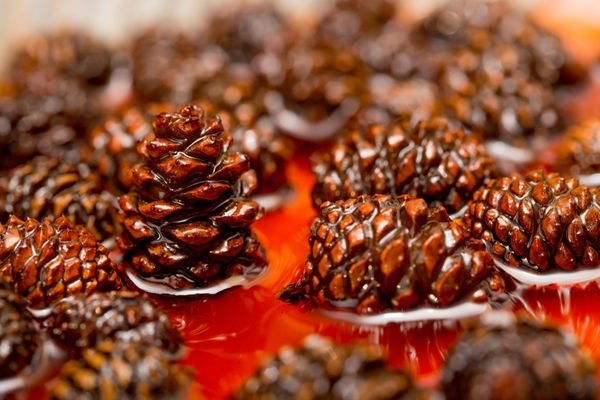 Doğal şifa kaynağı kozalak pekmezinin faydaları saymakla bitmiyor