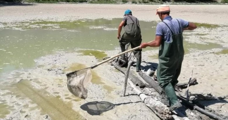 Denizli’de kuruyan göldeki balıklar kurtarıldı