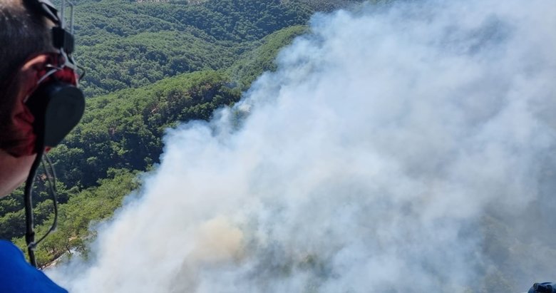 Kazdağları’nda orman yangını