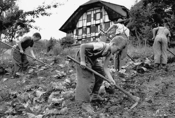 Kim Milyoner Olmak İster? yarışmasındaki o sorunun videosu Twitter’da Türkiye’nin en çok izlenenlerinden oldu