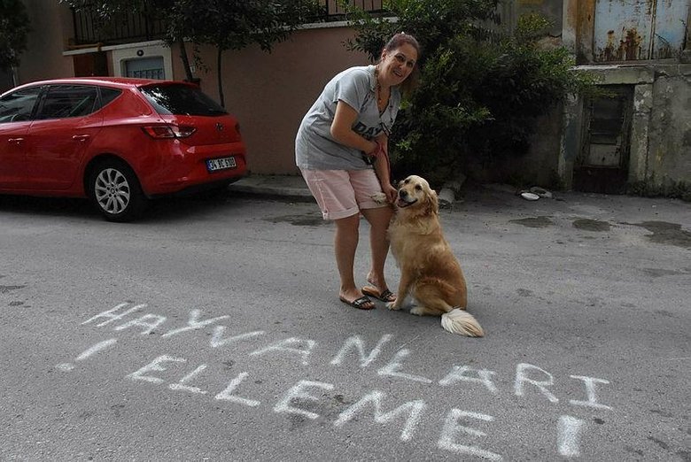 Komşuların kedi kavgası İzmir Haberleri