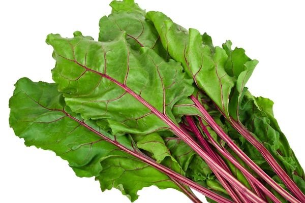 Kışın gözdesi: 3 şifalı yeşillik