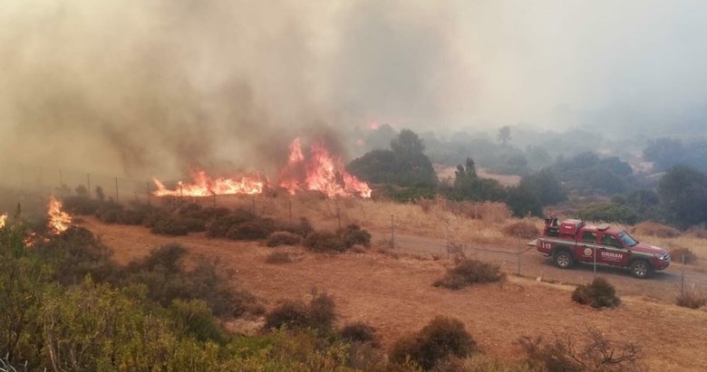 İzmir için kritik orman yangını uyarısı: Önümüzdeki 3 güne dikkat