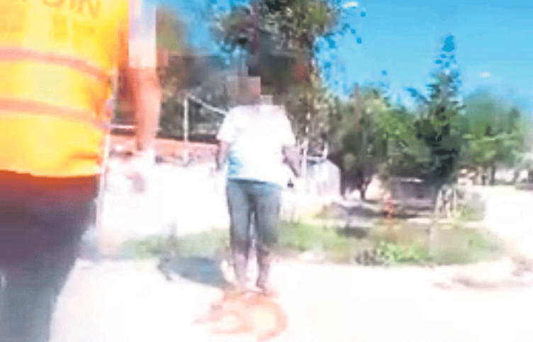 İşte Tunç Soyer’in açtığı Seferihisar Hayvan Barınağı’nın içler acısı hali