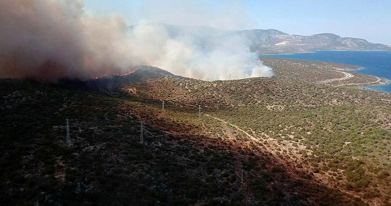 İzmir’de orman yangını! Uçaklar, helikopter ve arazözler harekete geçti