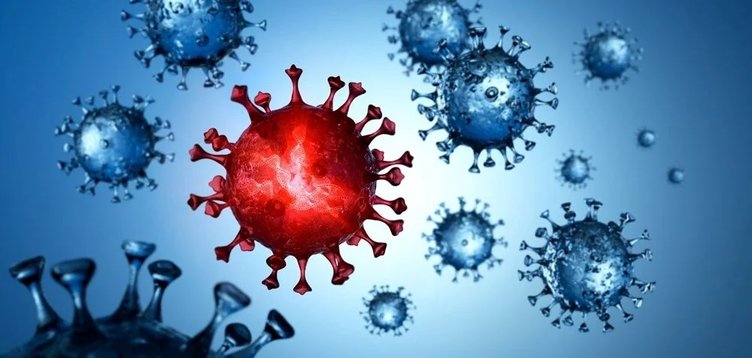 Nipah virüsü nedir, belirtileri nelerdir? Türkiye’de var mı?