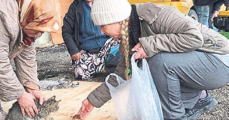 Bir yavru kedi ile değişen hayat