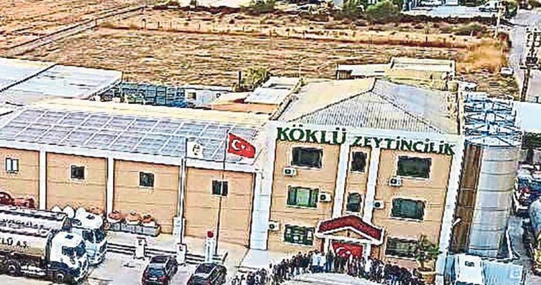 Köklü zeytincilik ödüle doymuyor