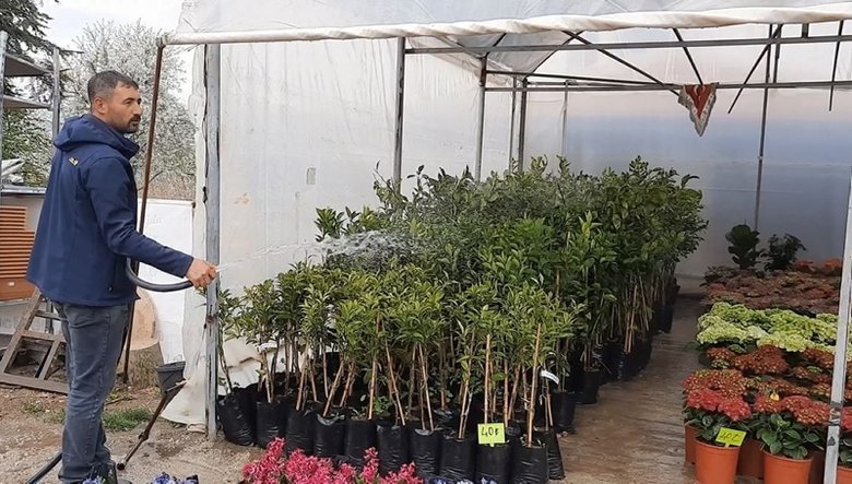 Koronavirüs çiçek satışlarına yansıdı: Bir balkon kaç liraya süslenir?