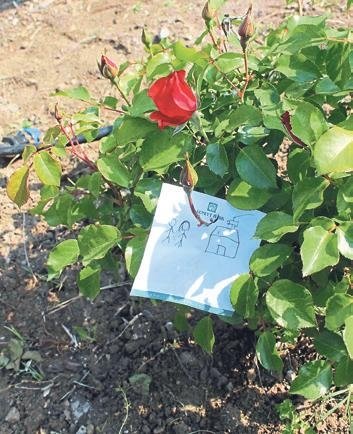 Hızır ve İlyas bolluk ve bereket için buluşuyor