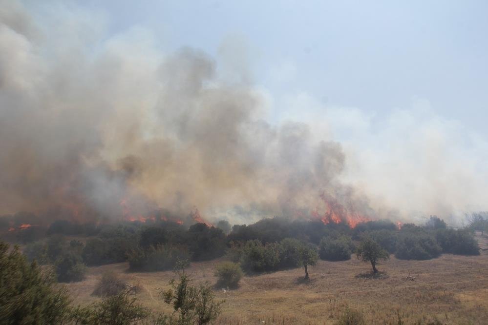 Kula’daki orman yangını kontrol altına alındı