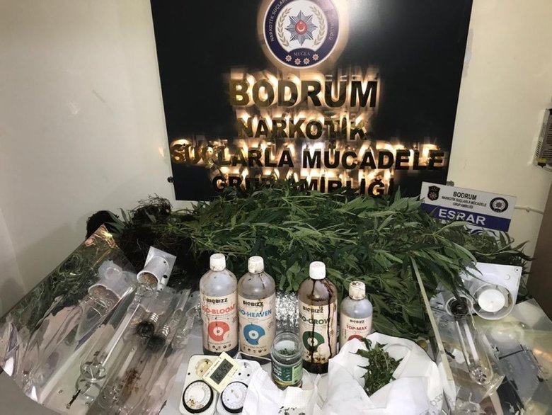 Bodrum’da uyuşturucu operasyonu! Evi adeta uyuşturucu tarlasına çevirmişler