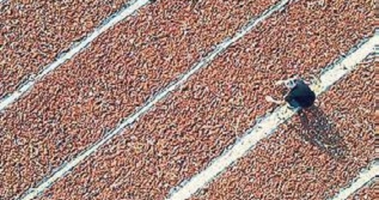 Kuru üzüm ihracatı 250 bin tonu aştı