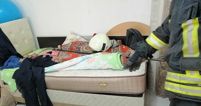 Muğla’da evin yatak odasında zehirli yılan yakalandı