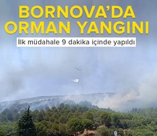 Bornova’da orman yangınına havandan karadan müdahale