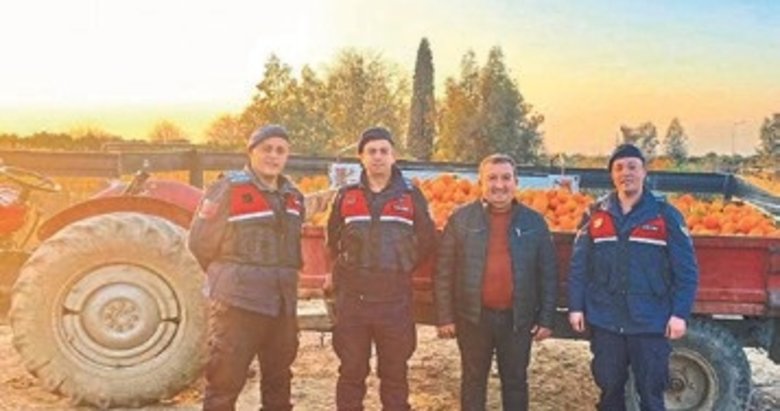 Çalınan 1.5 ton portakalı jandarma ekipleri buldu