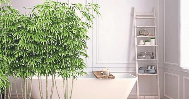 Banyom da yeşillensin diyenlere