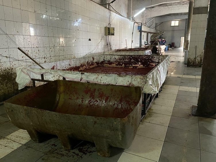 Yılbaşı öncesi aman dikkat! O gıdalar ölüme götürüyor!