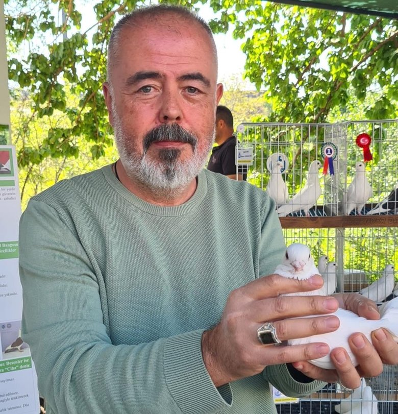 Azman güvercinler Denizli’de güzellikleriyle yarıştı