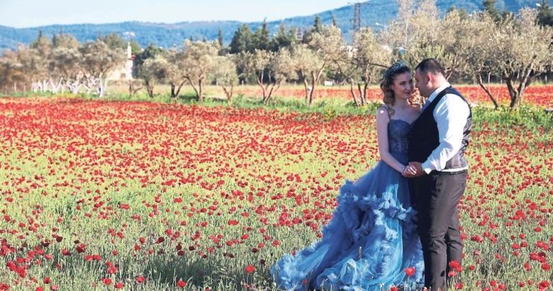 ‘Gelin’cikler tarlada