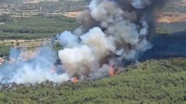 Bornova’da orman yangını! Havadan karadan müdahale sürüyor