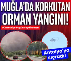 Muğla’da orman yangını! Müdahale devam ediyor...