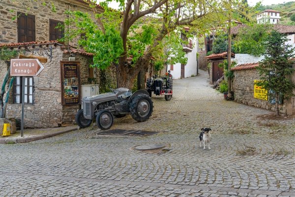 Tarihi Yeniden Yazıyor: İzmir’in 5 Büyüleyici Noktası Dünya Mirası Yolunda!