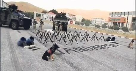 12 askerimizin katili Kamışlı’da etkisiz