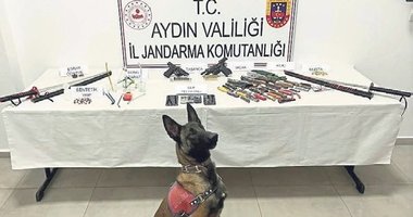 Aydın’da zehir baskınında samuray kılıcı ele geçirildi