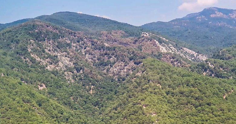 Kazdağları’nda yanan ormanlar havadan görüntülendi