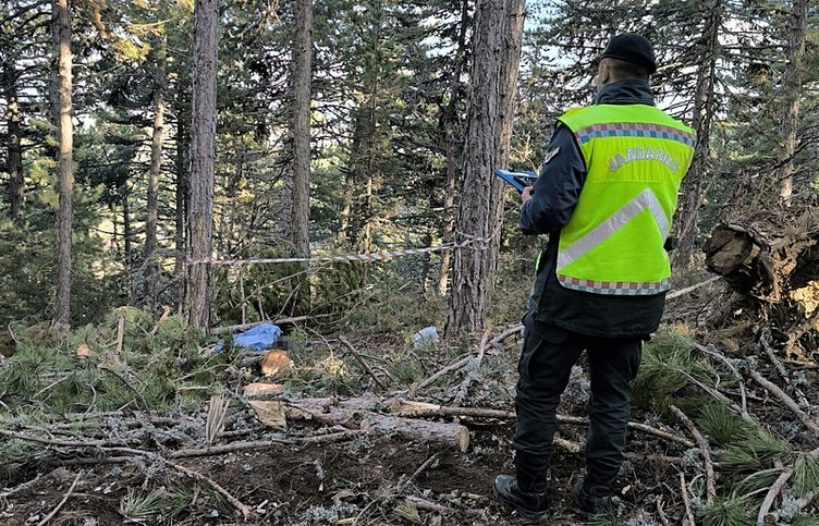 Kütahya’da feci ölüm! Kestiği ağacın altında kaldı