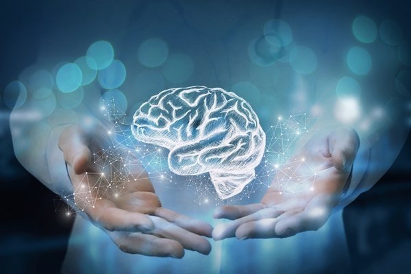 Vücuttaki zehri söküp atıyor! Suyu adeta antibiyotik